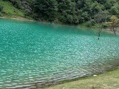 -狮子沟牧场