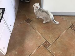 -青春加萌照相馆