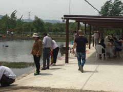 -同銮特种养殖场·龙虾垂钓