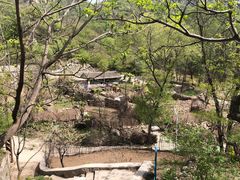 -大岭沟猕猴桃谷风景区