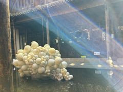 -朵云书院·广富林店