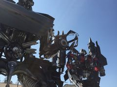 -上海长兴岛郊野公园