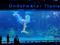 -泉城欧乐堡海洋极地世界