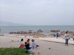 -杨梅坑