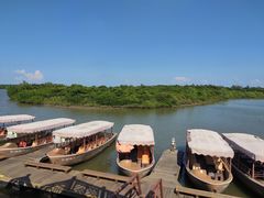 -东寨港红树林旅游区