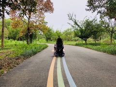 -白鹭湾湿地公园