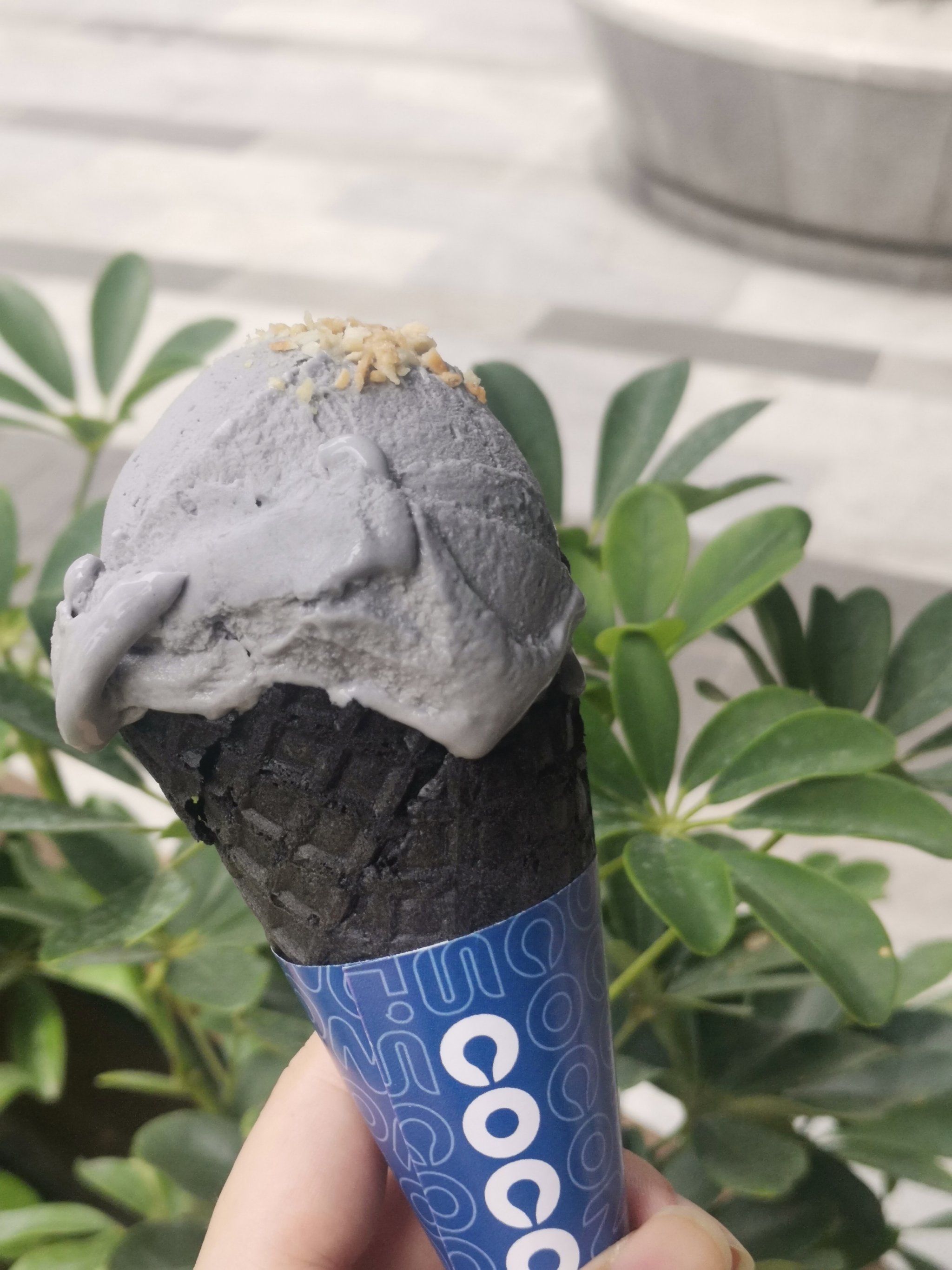 冬天的椰子灰冰淇淋