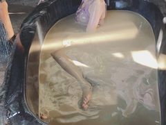 -100蛋泥浆浴