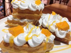 -more than meow吴止猫主题餐厅(承德 中船汇店)