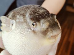 -永安鱼庄·镇江菜(丁卯店)