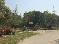 android_upload_pic-梁鸿国家湿地公园