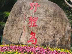 -野狸岛