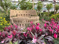 -南宫五洲植物乐园