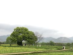 -良渚古城遗址公园