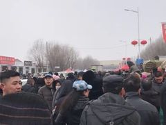 -蒲河大集