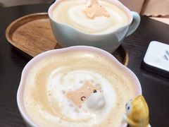 -逗柴咖啡屋·狗咖猫咖宠物桌游