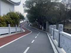 -八大山人梅湖景区