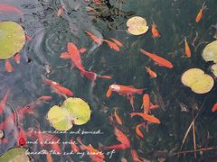 -东山雕花楼