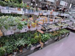 -鹿岛生活(熙地港店)