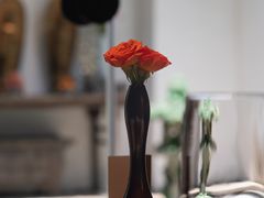 -觀芷隐轩