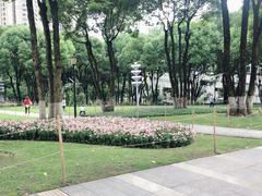 -重庆市江北嘴中央商务区中央公园