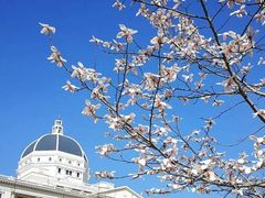 -上海外国语大学(虹口校区)