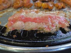 -燚青春东北泥炉烤肉(百合店)