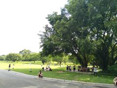 -东莞植物园