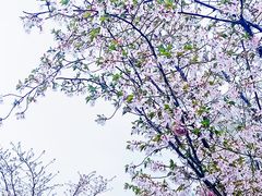 -雅达·阳羡溪山小镇中心