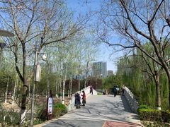 -大兴滨河森林公园