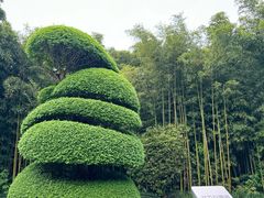 -苏州河梦清园环保主题公园