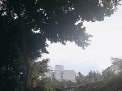 -大妙火锅·非物质文化遗产(东湖公园店)