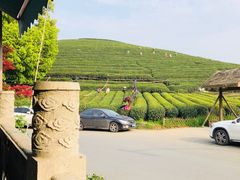 -听风阁农家私房菜茶楼(龙坞店)
