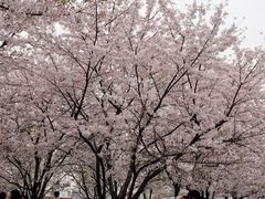 -龙美术馆(西岸馆)