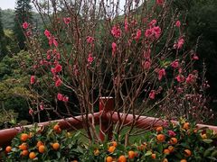 -桃花涧