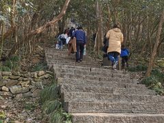 -紫金山山顶公园