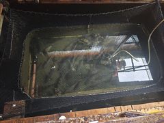 -蓝湾碧波·老字号·疍家非遗海上餐厅