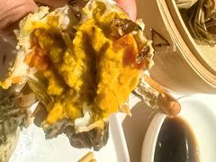 -杨氏青龙虾·羊蝎子(托乐嘉店)