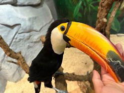 -Zoolung Zoolung动物主题公园(海信广场店)