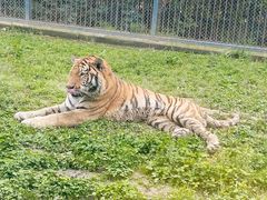-上方山森林动物世界