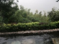 -天目湖涵田半山温泉