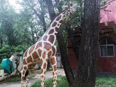 -南戴河国际娱乐中心