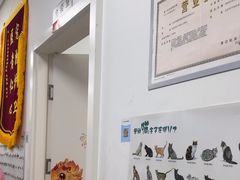 -宠福鑫康馨动物医院·骨科·眼科