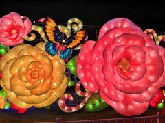 -第35届青岛国际啤酒节