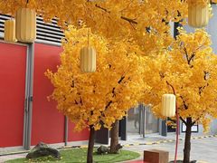 -龙湖杭州滨江天街