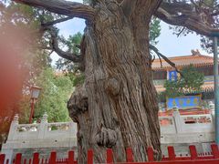 -北京国子监胡同