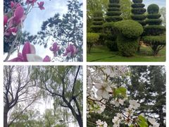 -辽宁友谊宾馆