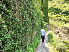 -枸杞岛