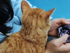 -美联众合动物医院(·中兽医·疑难杂症·严家桥分院)