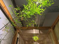 -本处·素食·融合料理(南油店)